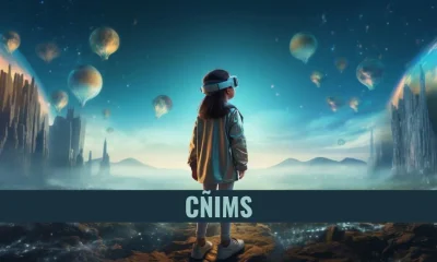 cñims: Exploring the Landscape of Digital Marketing Strategies