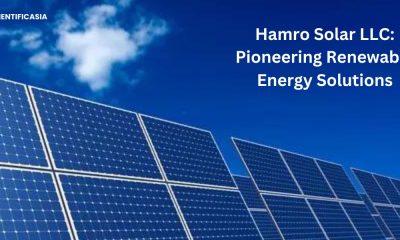 Comprehensive Guide to Hamro Solar LLC: Revolutionizing Solar Energy Solutions