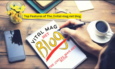 Why the:// Vital-Mag.Net Blog Is Getting Hype?