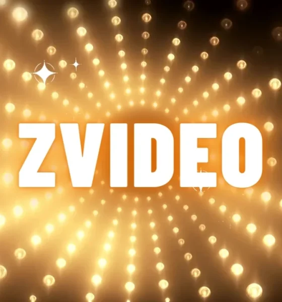 Zvideo: Exploring the Revolution in Online Video Streaming