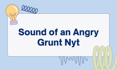 The Sound of an Angry Grunt: What It Signifies